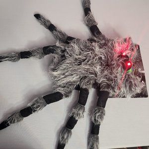 Halloween Costume for Pets